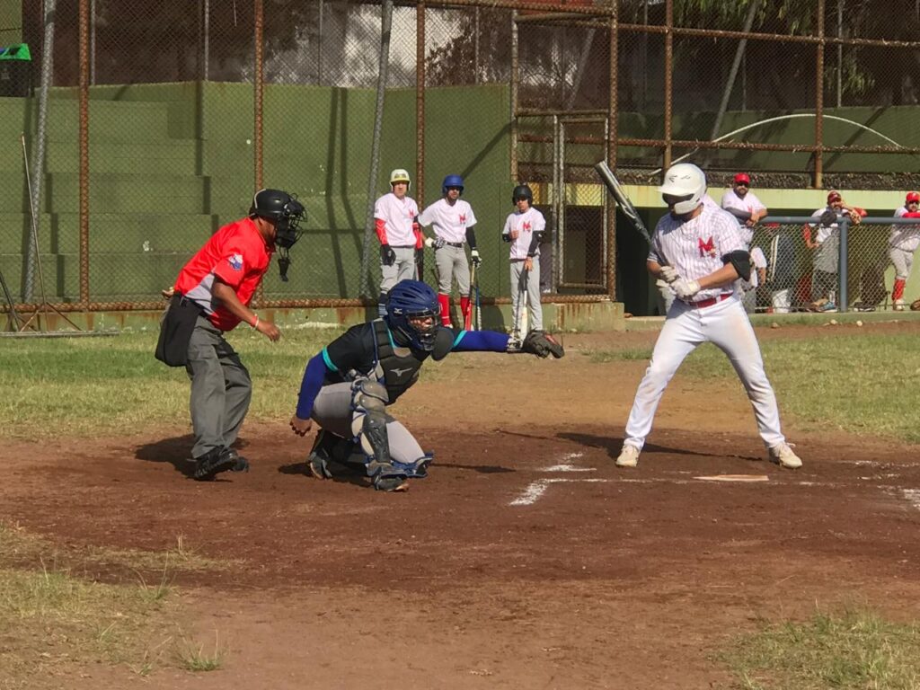 WhatsApp Image 2026-01-13 at 11.26.01 (1)