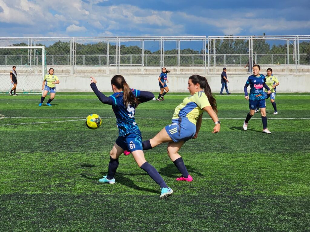 WhatsApp Image 2026-01-13 at 11.26.01 (4)