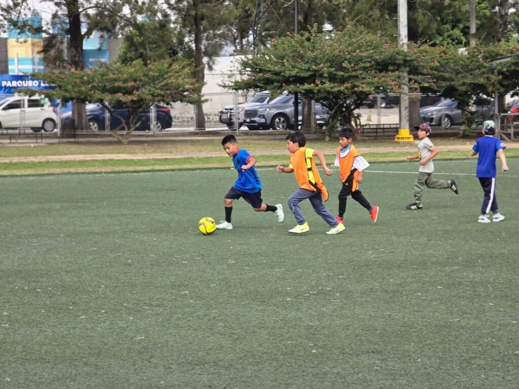 WhatsApp Image 2026-01-13 at 4.19.37 PM (1)