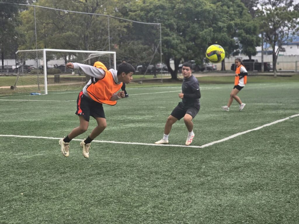 WhatsApp Image 2026-01-13 at 4.19.37 PM (2)