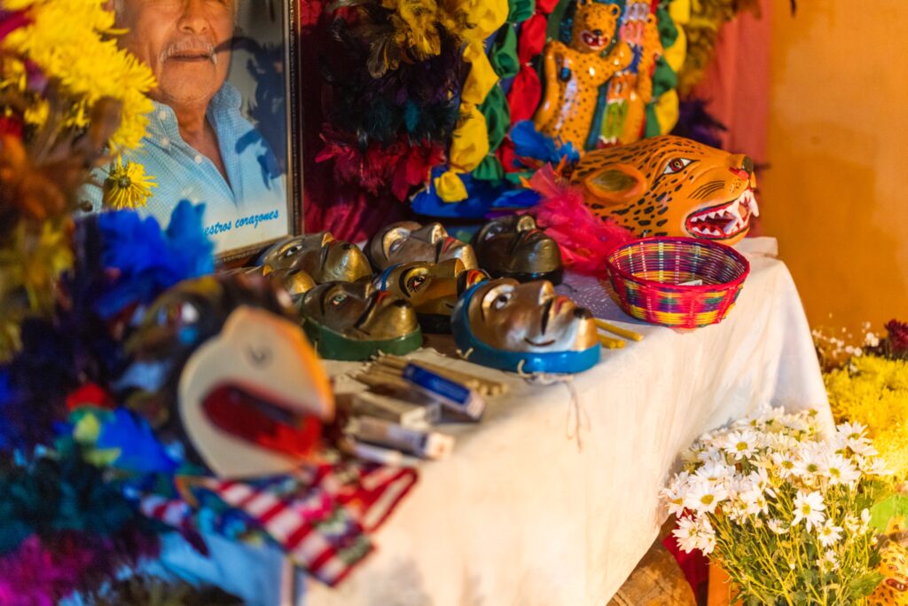 WhatsApp Image 2026-01-16 at 4.32.36 PM