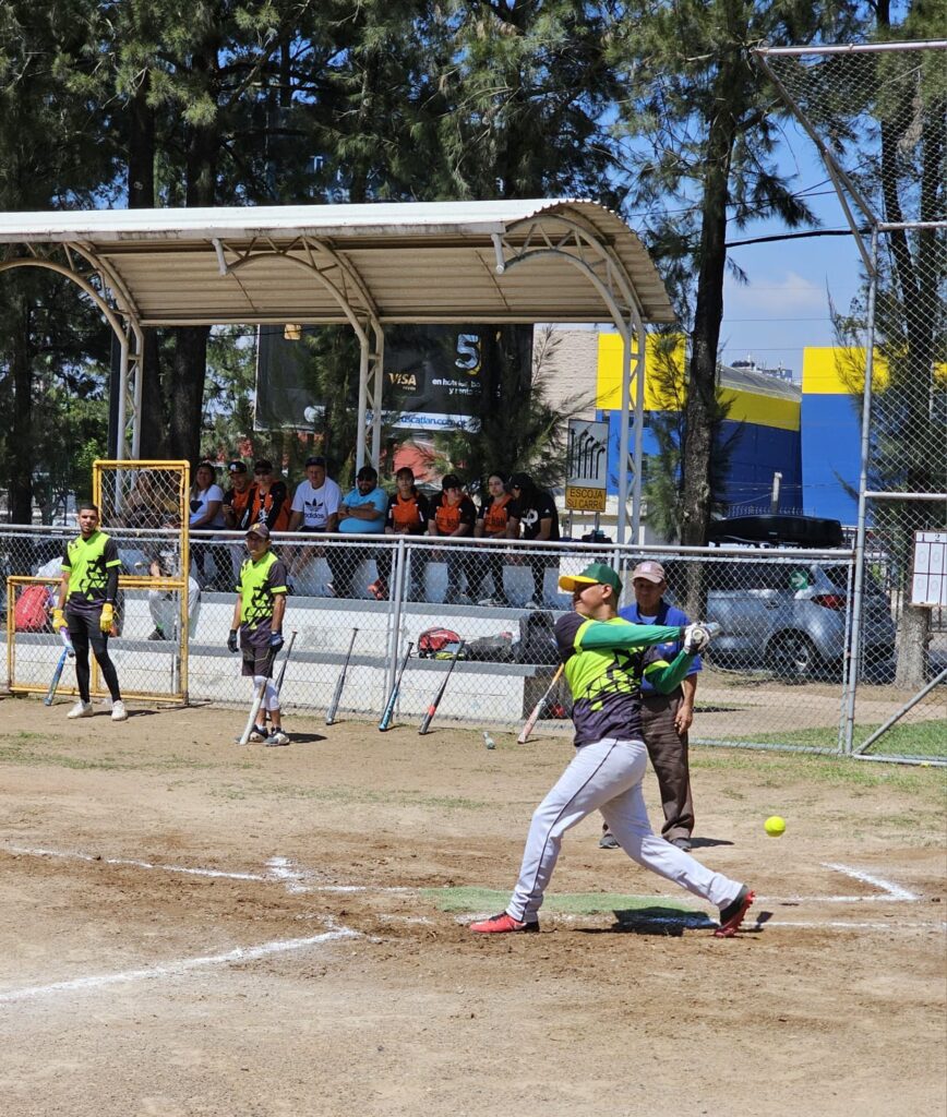 WhatsApp Image 2026-01-19 at 12.48.04 PM (2)