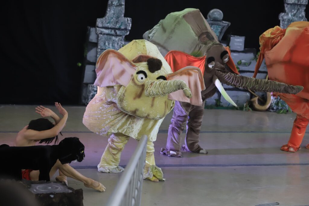 WhatsApp Image 2026-01-21 at 17.23.09 (1)