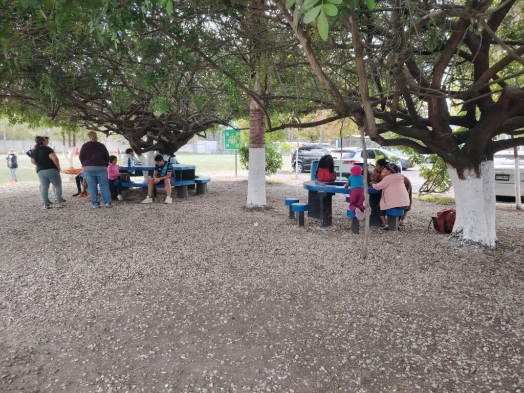 WhatsApp Image 2026-01-22 at 15.36.24 (3)