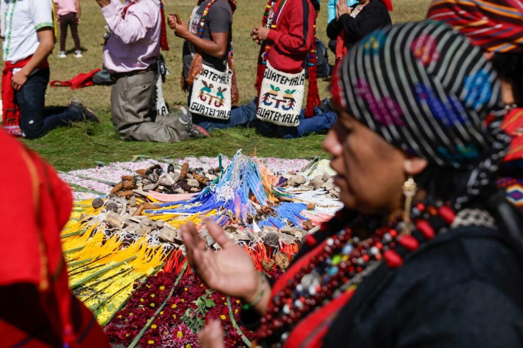 WhatsApp Image 2026-01-26 at 4.44.55 PM (1)