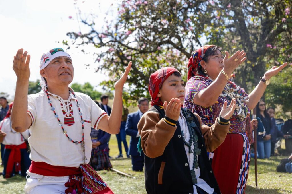 WhatsApp Image 2026-01-26 at 4.44.55 PM (2)