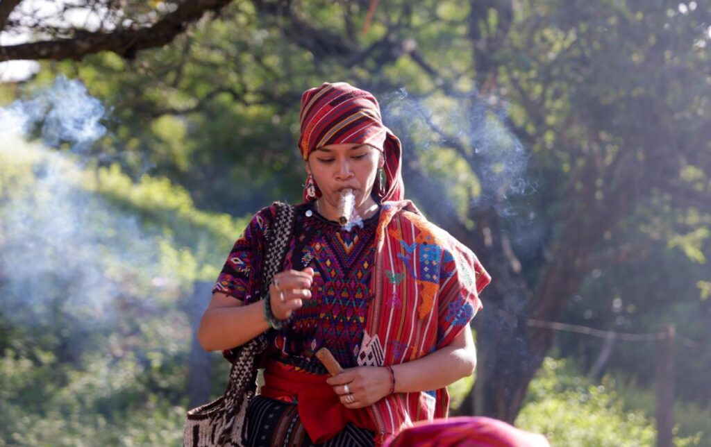 WhatsApp Image 2026-01-26 at 4.44.55 PM (3)