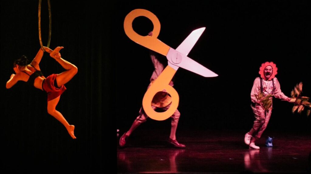 WhatsApp Image 2026-01-27 at 15.17.07 (2)