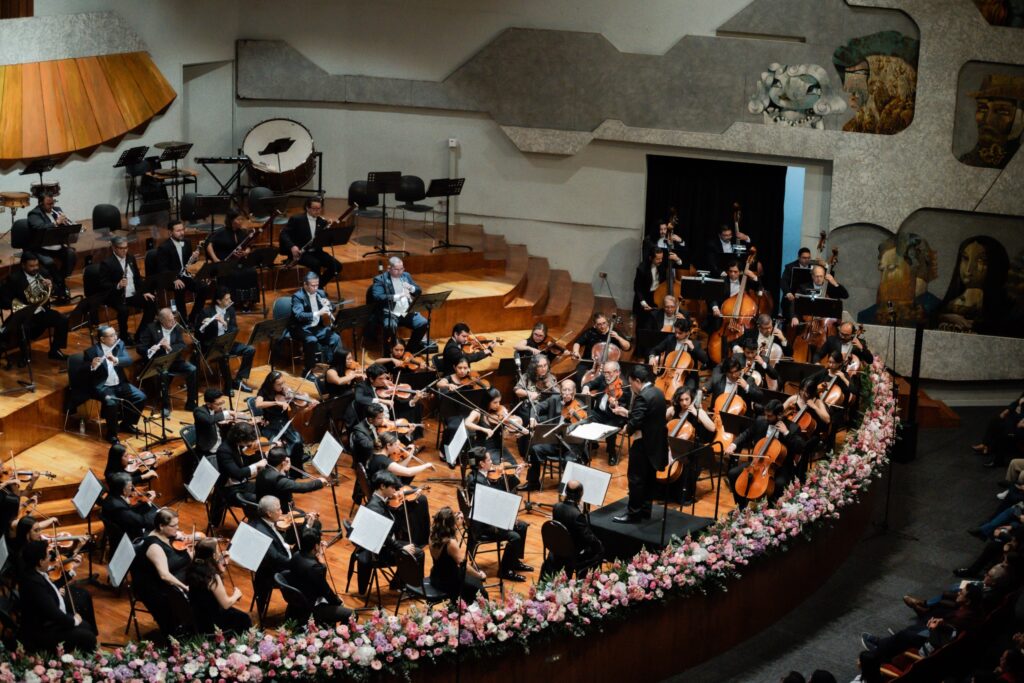 WhatsApp Image 2026-01-27 at 17.05.29 (1)