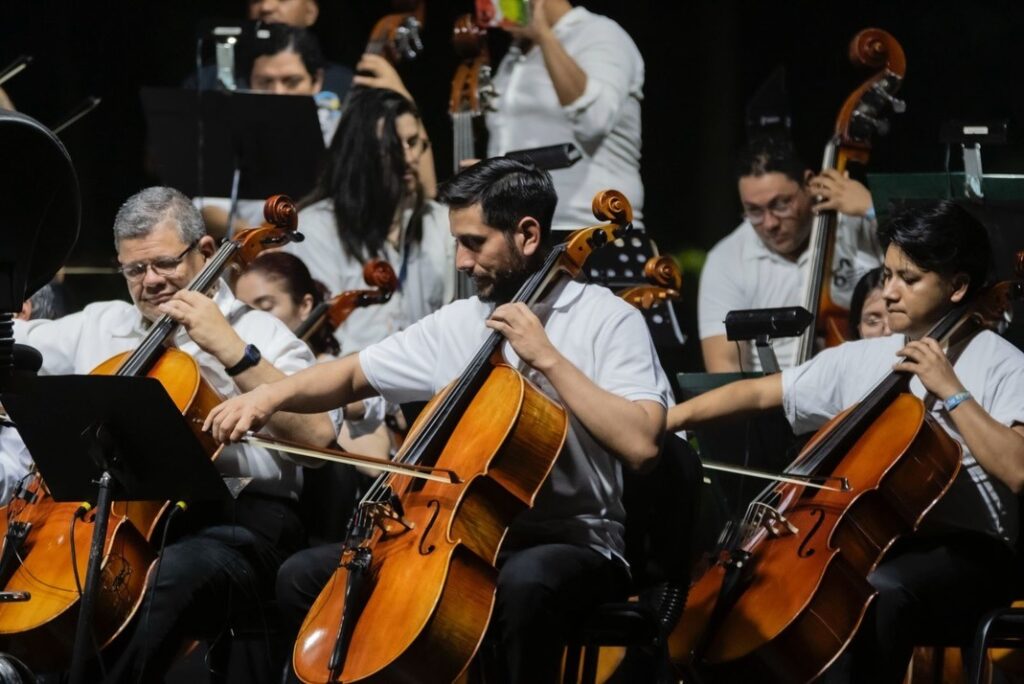 WhatsApp Image 2026-01-29 at 12.22.35 PM