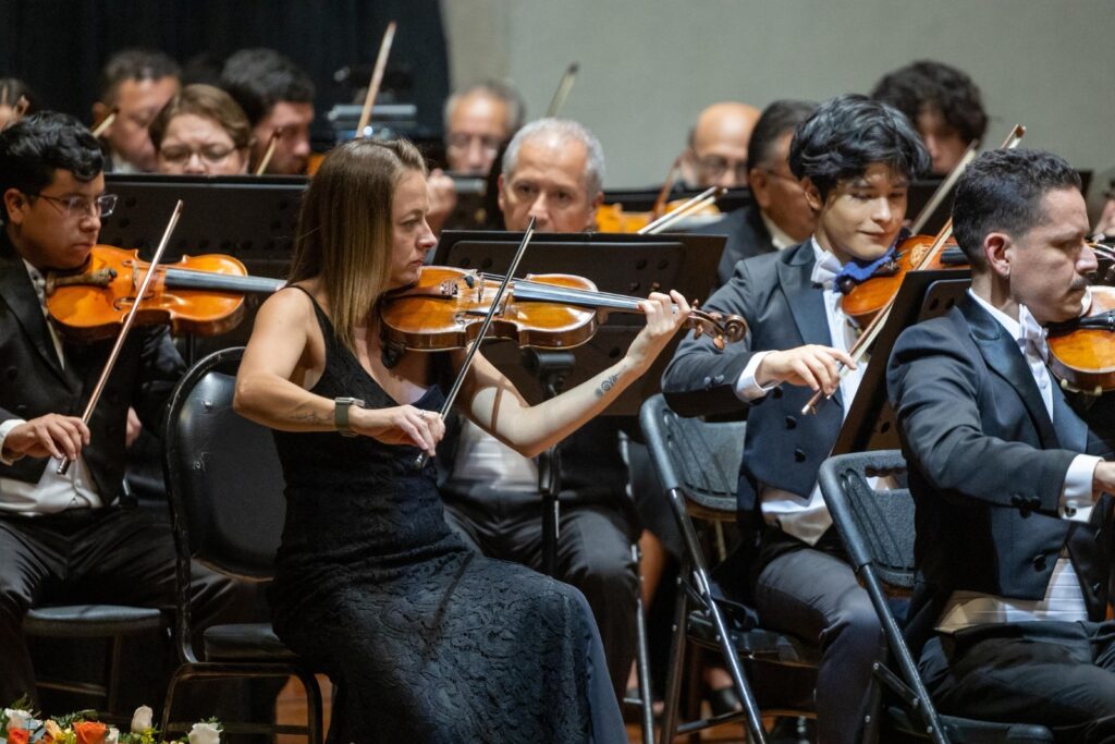 WhatsApp Image 2026-01-29 at 17.42.15