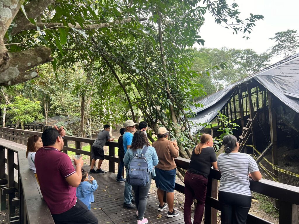 WhatsApp Image 2026-02-04 at 12.12.26 (1)