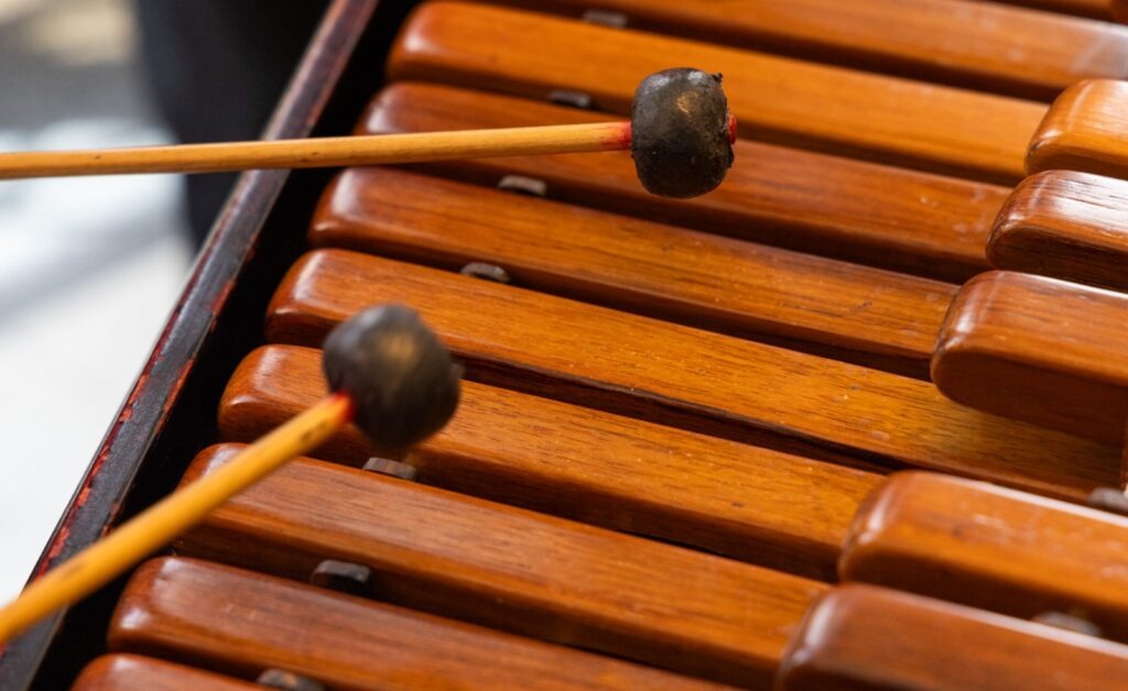 WhatsApp Image 2026-02-04 at 15.17.31 (2)