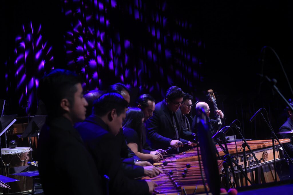 WhatsApp Image 2026-02-05 at 15.34.30