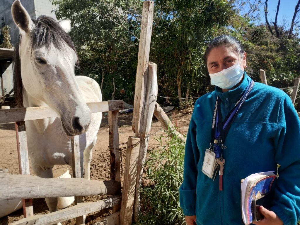 WhatsApp Image 2026-02-05 at 16.25.43