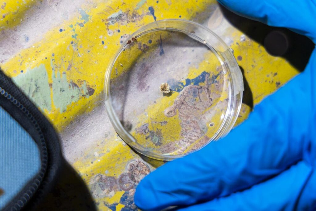 WhatsApp Image 2026-02-06 at 09.18.16 (5)