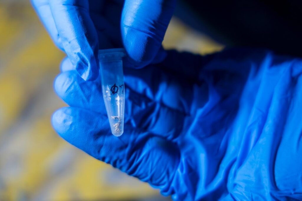 WhatsApp Image 2026-02-06 at 09.18.16 (6)