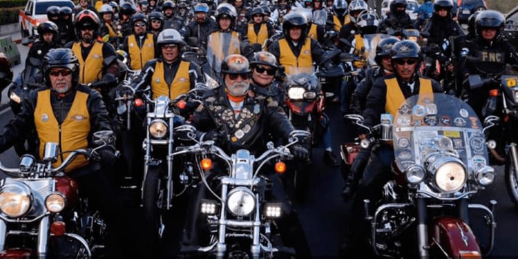 WhatsApp Image 2026-02-06 at 09.41.42