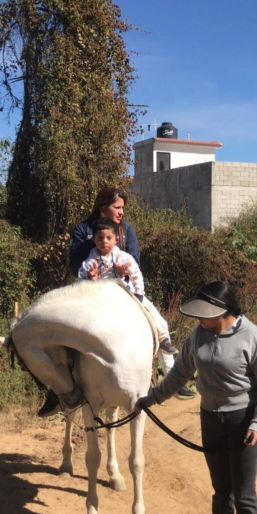 WhatsApp Image 2026-02-06 at 11.23.05