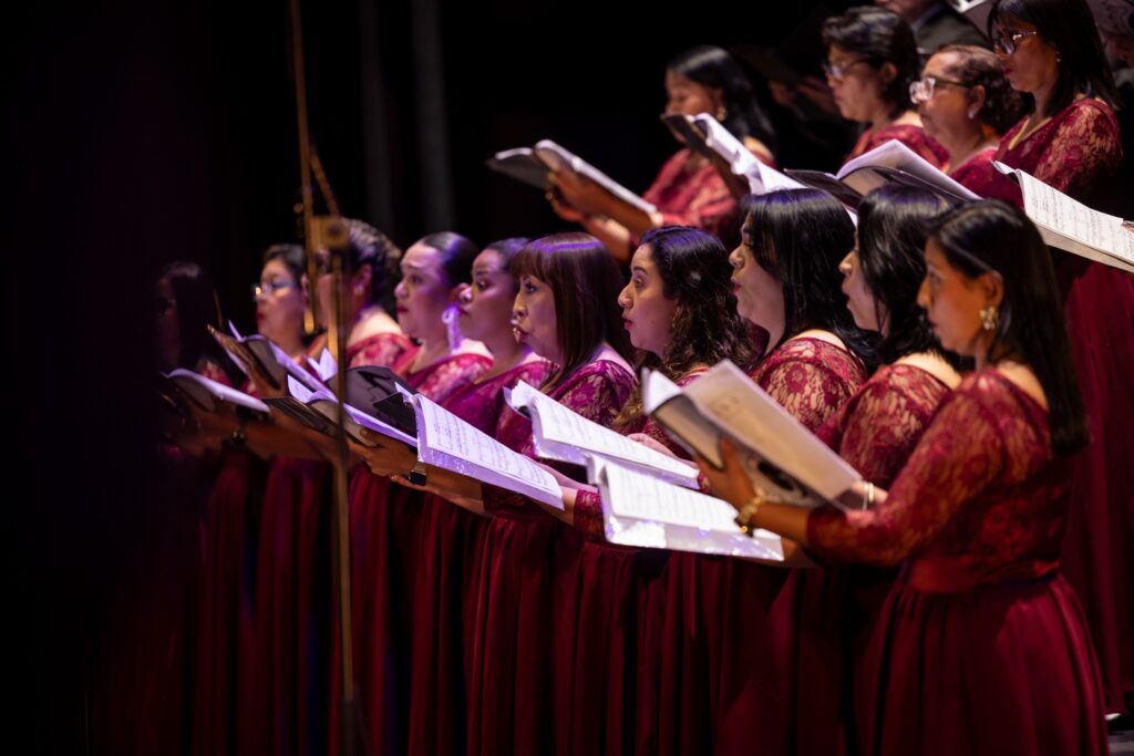 WhatsApp Image 2026-02-06 at 15.53.27 (1)