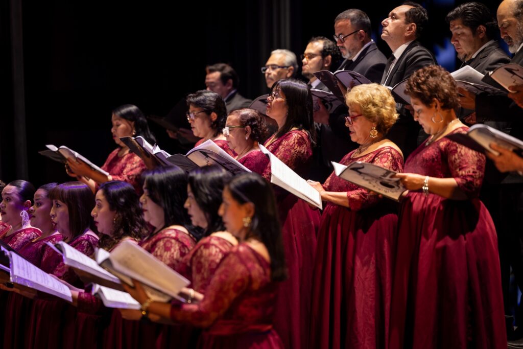 WhatsApp Image 2026-02-06 at 15.53.28 (1)