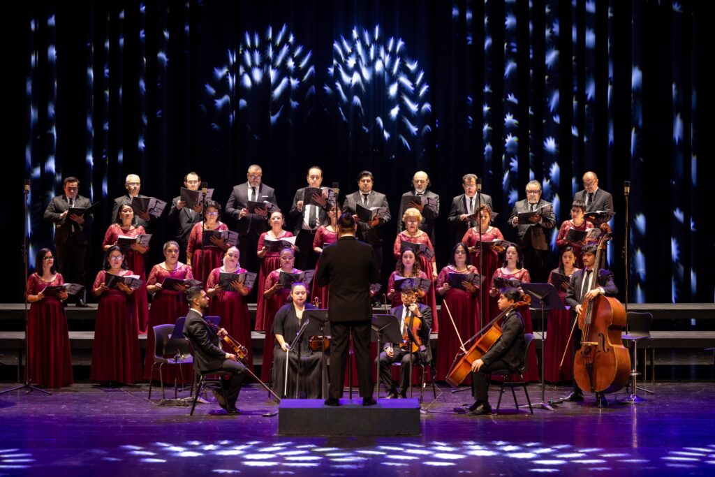 WhatsApp Image 2026-02-06 at 15.53.28