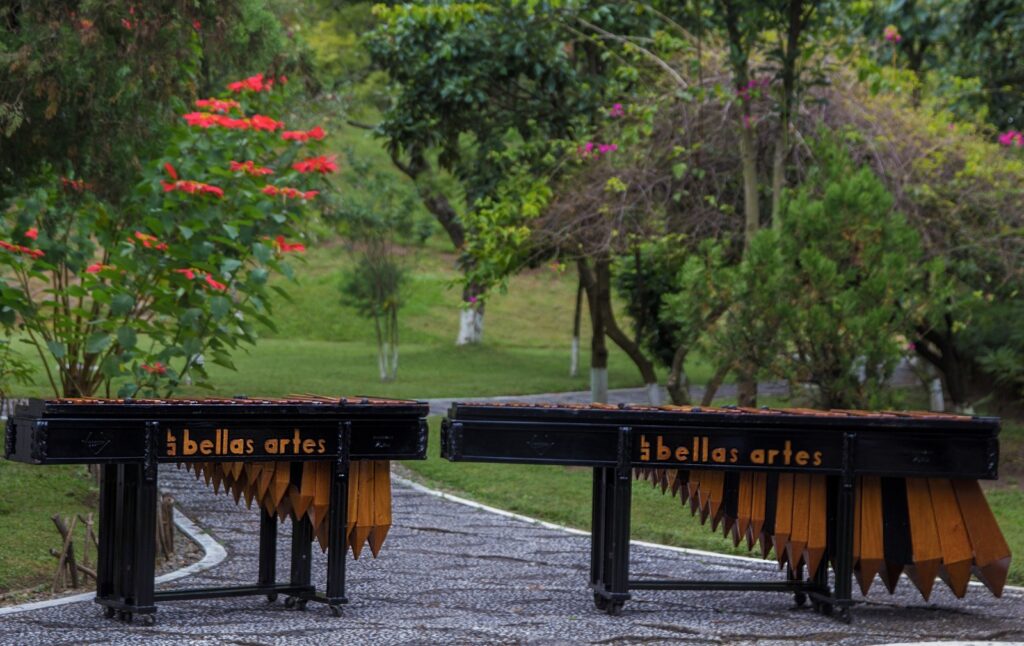 WhatsApp Image 2026-02-06 at 16.50.09 (2)