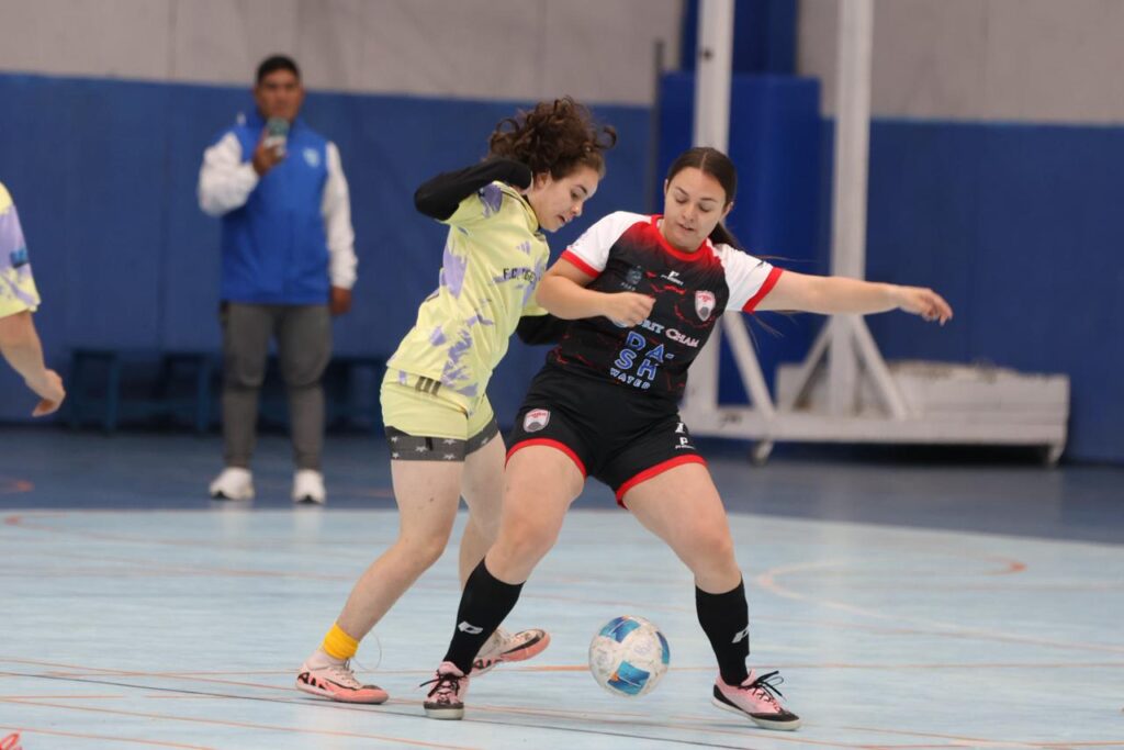 WhatsApp Image 2026-02-07 at 16.16.17