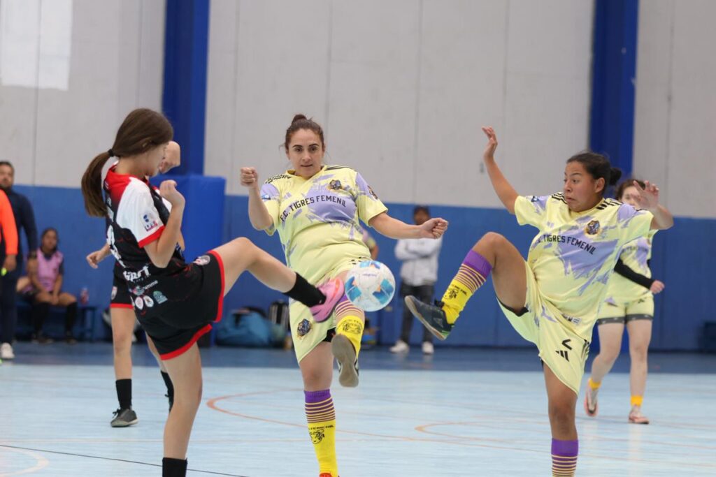 WhatsApp Image 2026-02-07 at 16.16.18 (3)