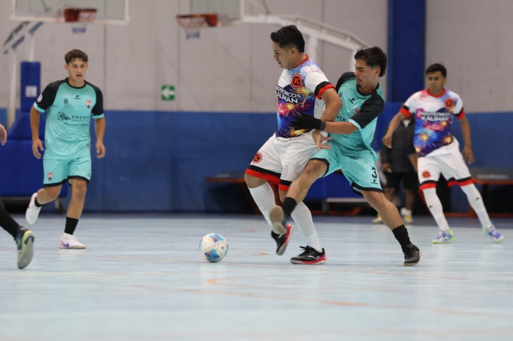 WhatsApp Image 2026-02-07 at 16.16.18 (4)