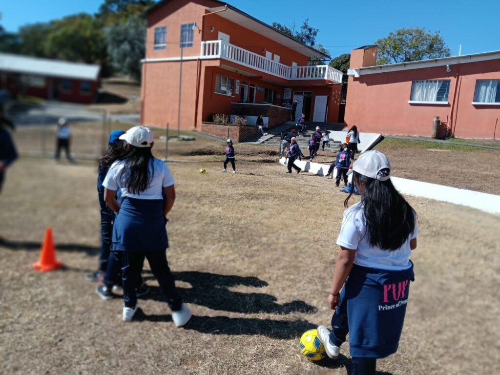 WhatsApp Image 2026-02-11 at 11.32.30