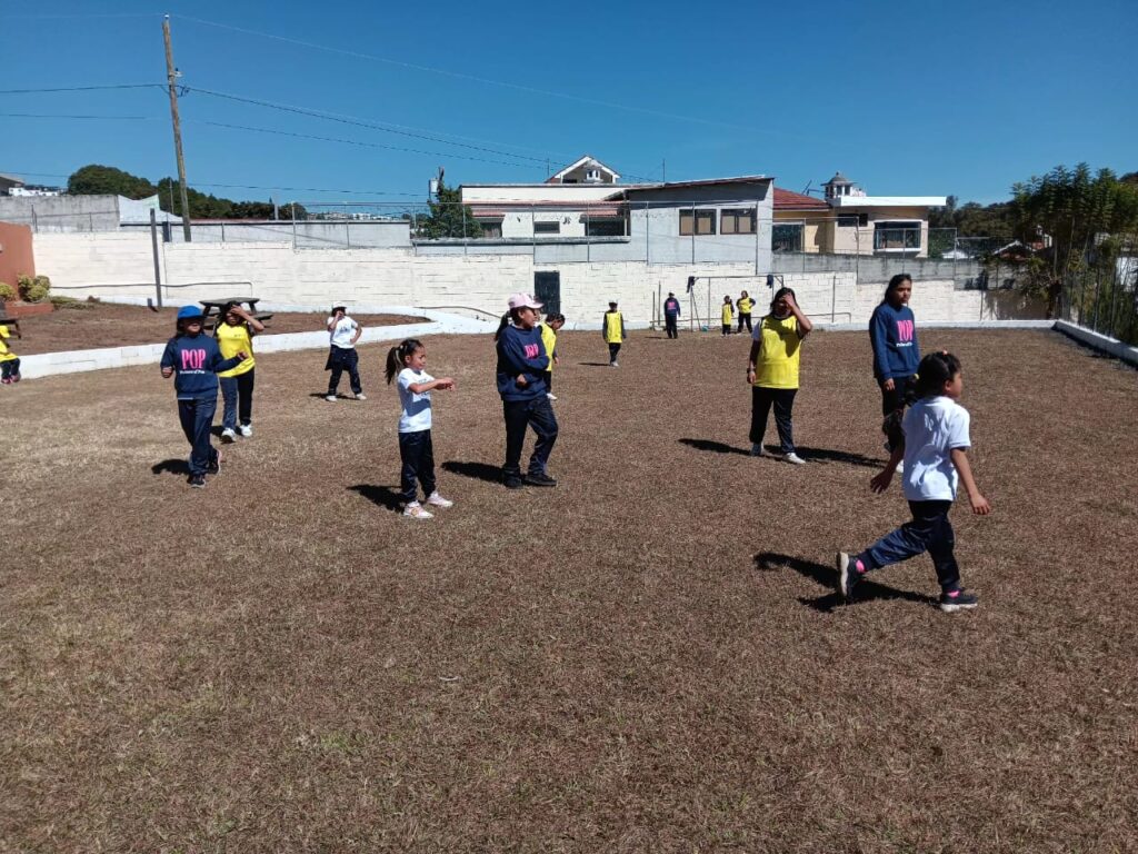 WhatsApp Image 2026-02-11 at 11.32.39