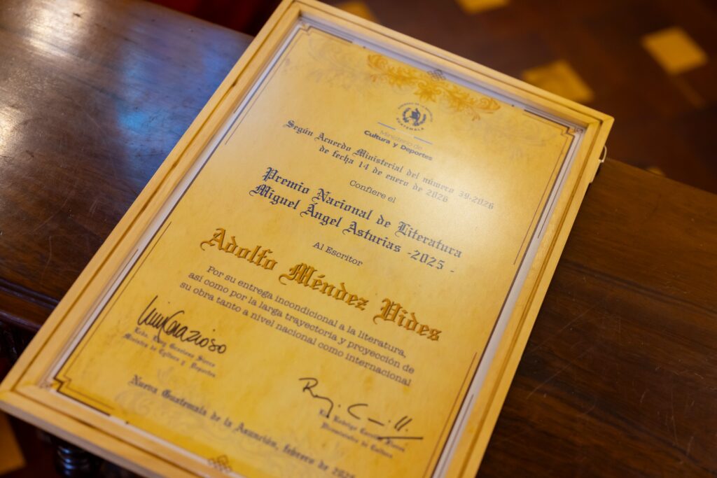 WhatsApp Image 2026-02-11 at 14.56.38