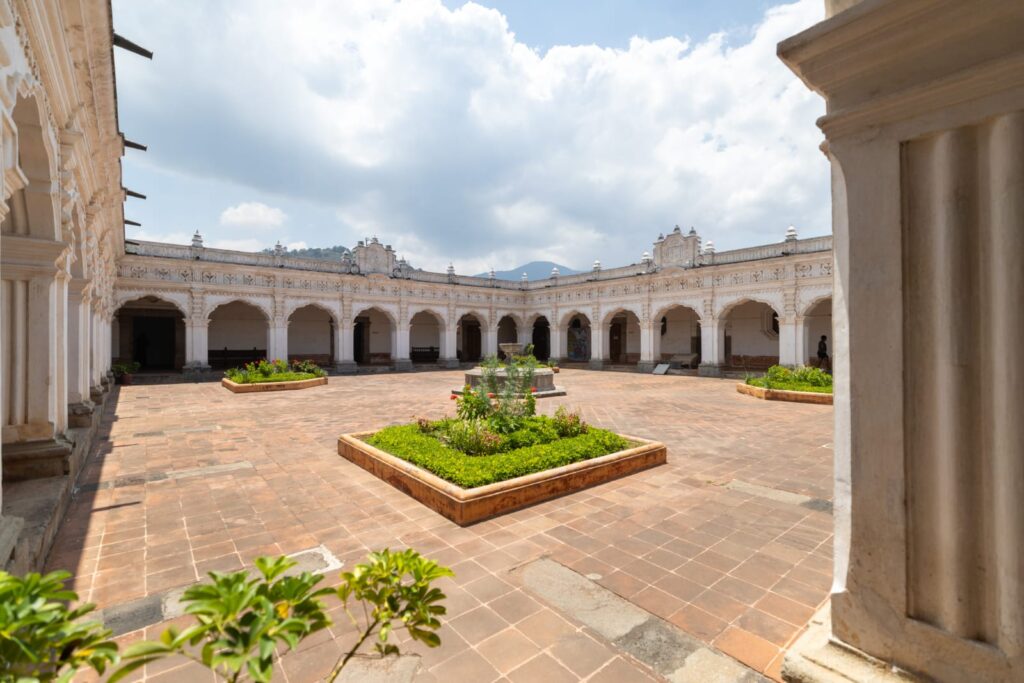 WhatsApp Image 2026-02-12 at 18.04.13