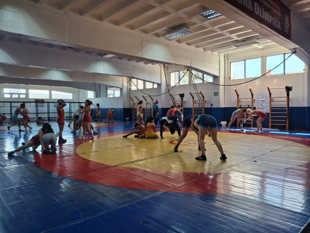 WhatsApp Image 2026-02-13 at 10.50.54 (1)