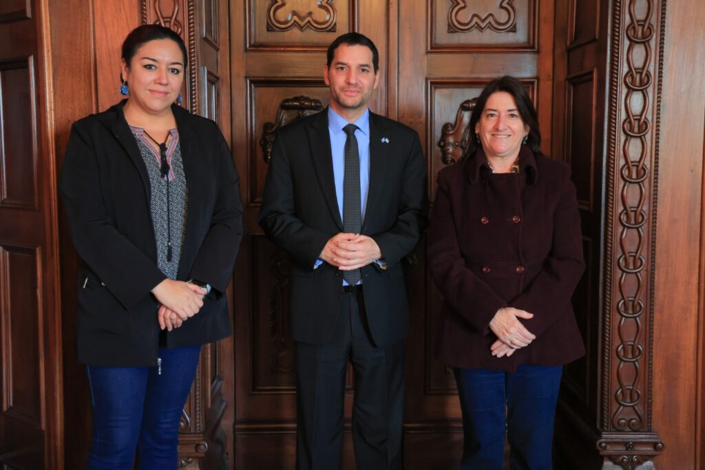 WhatsApp Image 2026-02-13 at 12.37.59 (1)