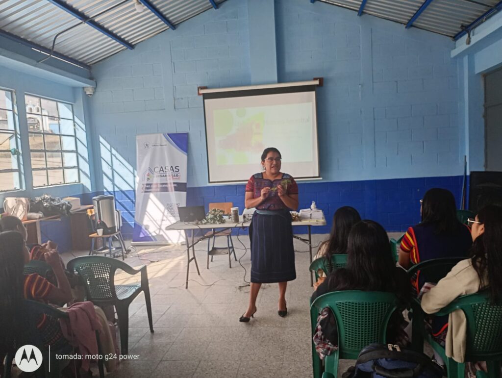 WhatsApp Image 2026-02-13 at 15.47.29 (2)