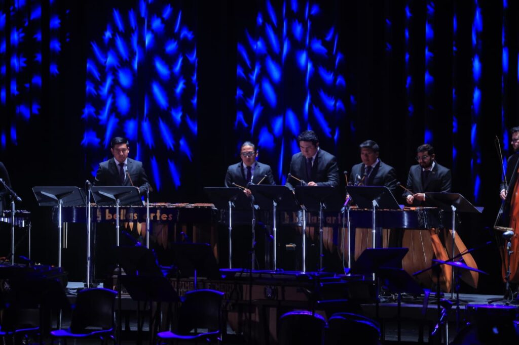 WhatsApp Image 2026-02-13 at 16.52.04