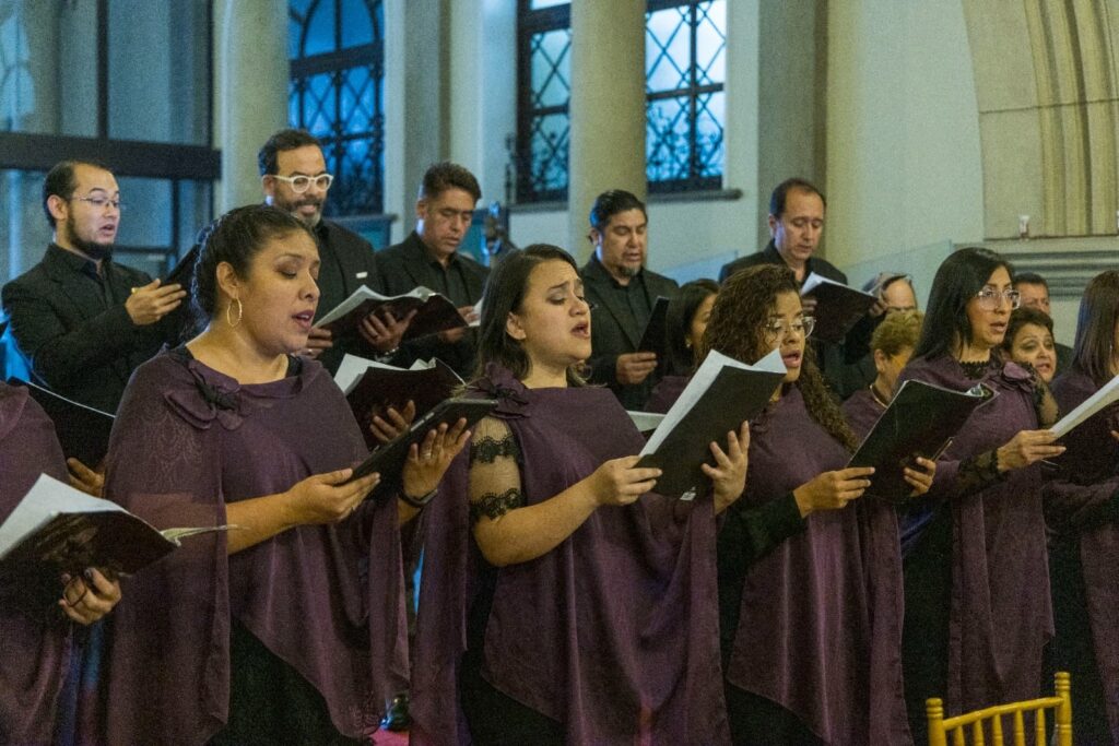 WhatsApp Image 2026-02-13 at 17.11.48 (1)