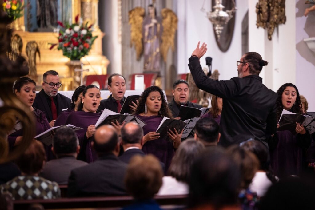 WhatsApp Image 2026-02-13 at 17.11.49 (1)