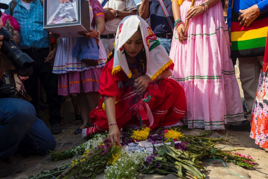 WhatsApp Image 2026-02-17 at 16.36.47 (1)