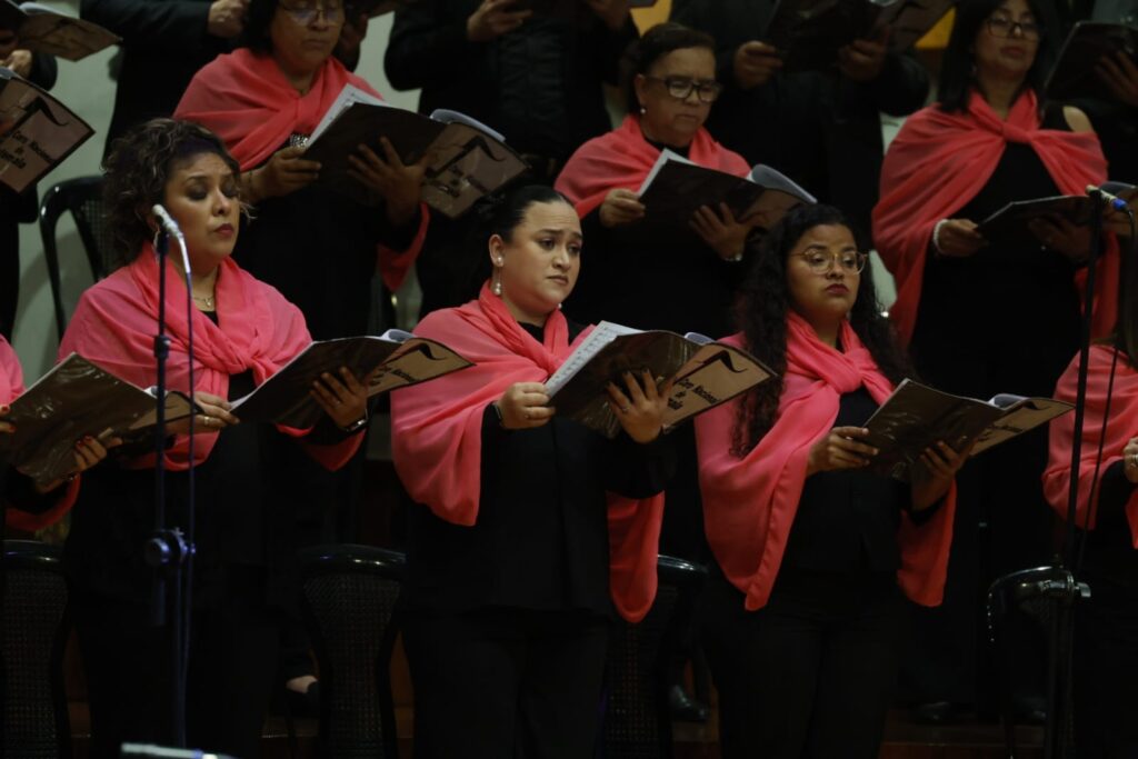 WhatsApp Image 2026-02-18 at 15.39.00