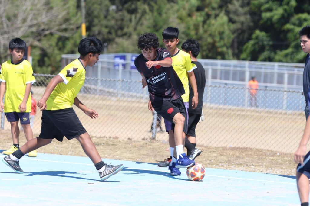 WhatsApp Image 2026-02-21 at 19.07.34 (2)