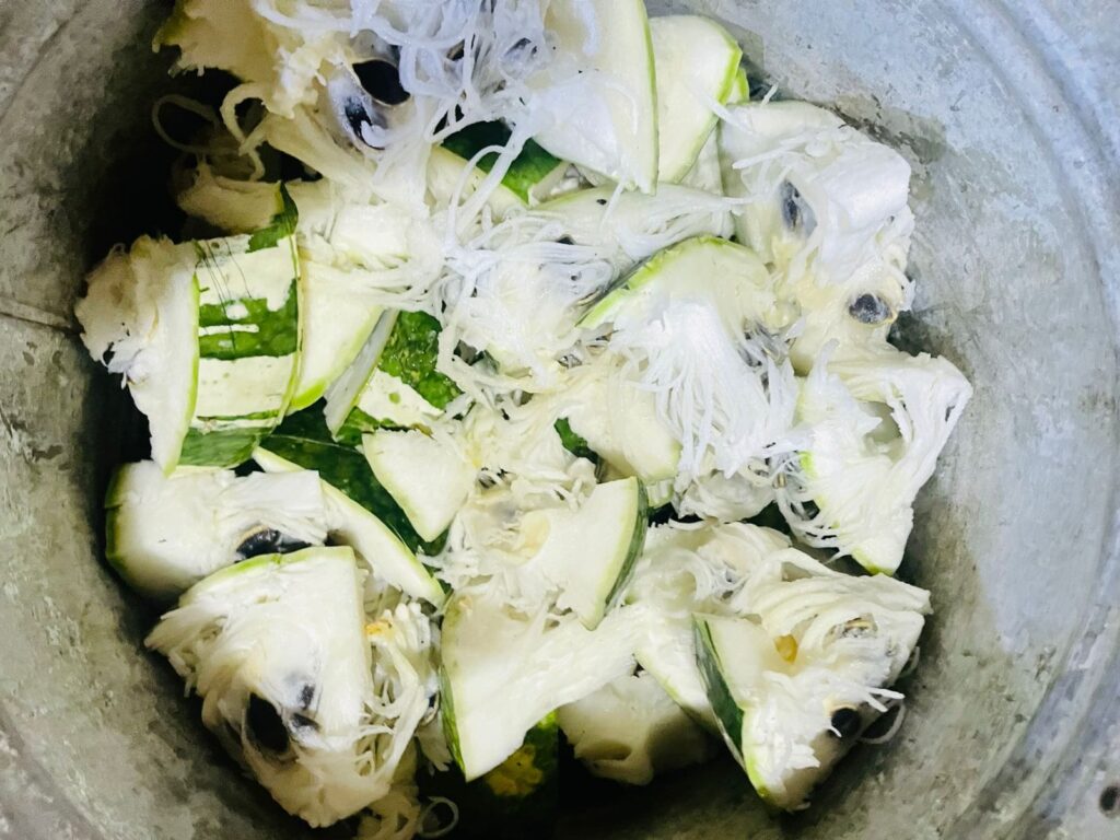 WhatsApp Image 2026-02-27 at 2.41.52 PM