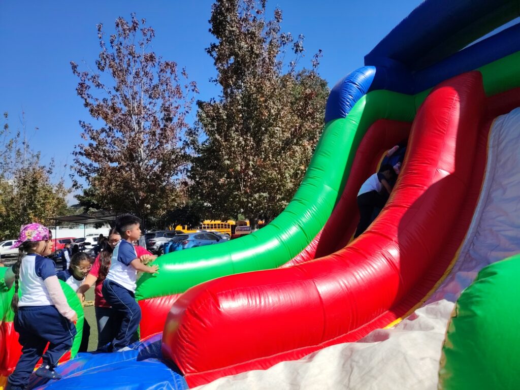 WhatsApp Image 2026-02-28 at 11.19.39 AM