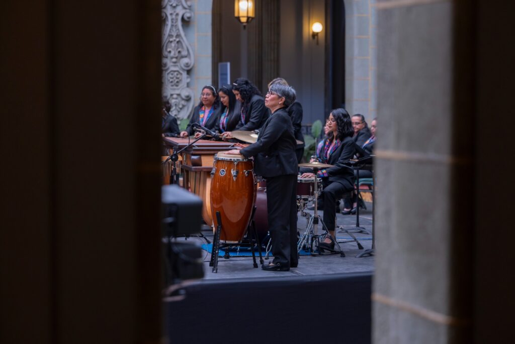 latidos de hormigo28