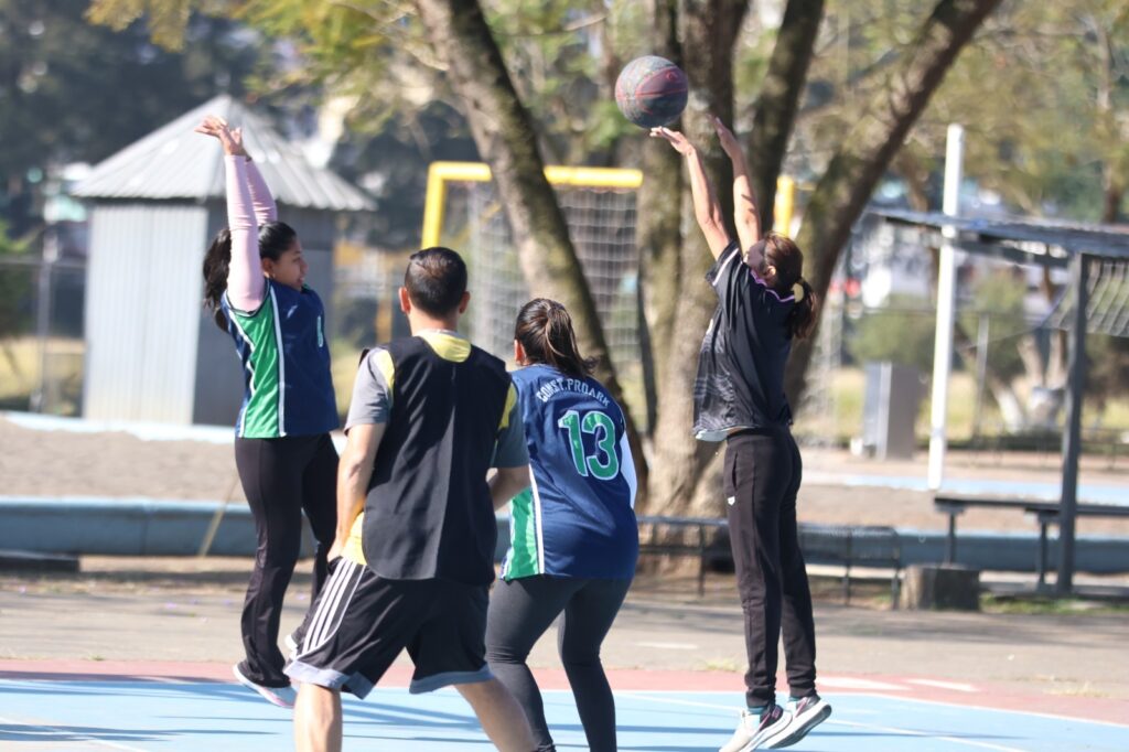 maxibaloncesto2