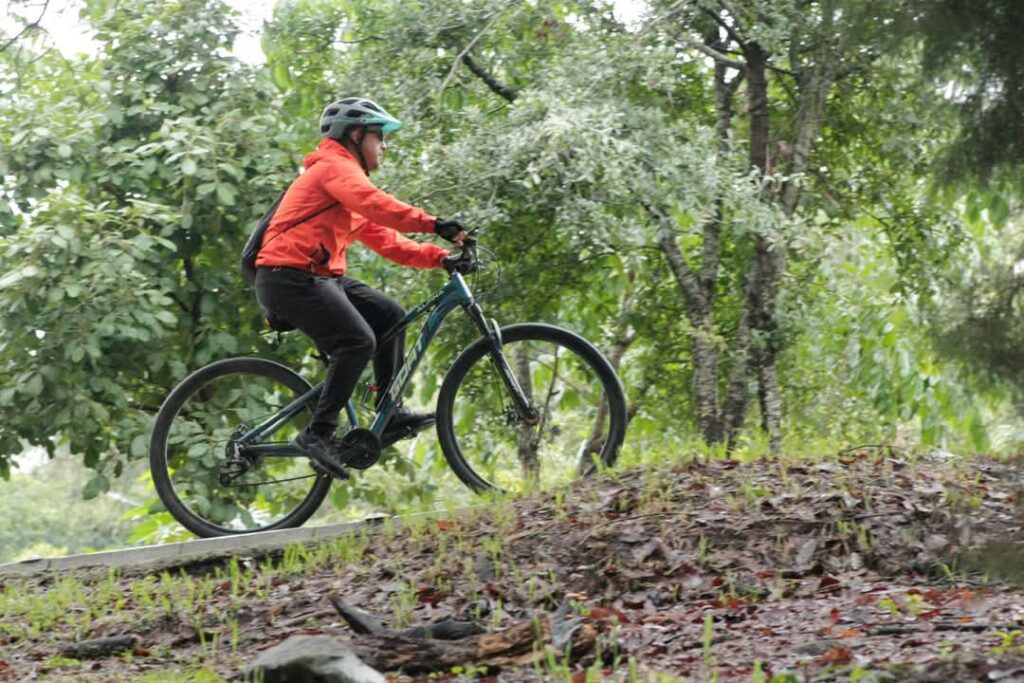 parques-699633be2627e