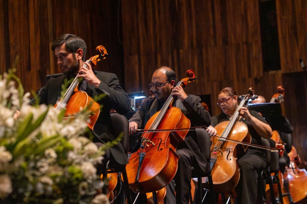 WhatsApp Image 2026-03-05 at 1.16.30 PM (1)