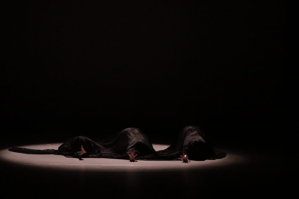 WhatsApp Image 2026-03-05 at 12.17.09 PM (2)